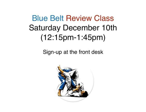 BLUE BELT REVIEW