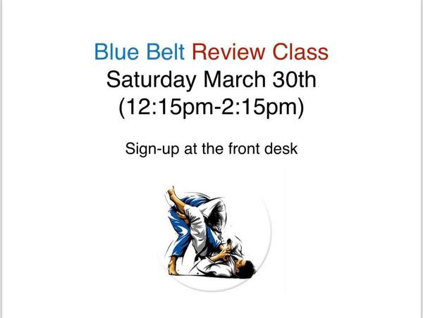 Blue belt review class