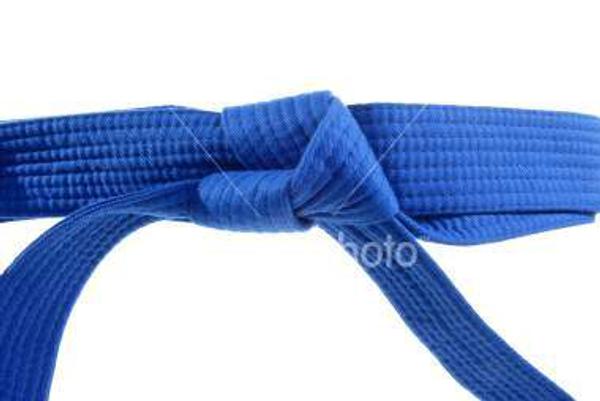 Blue Belt REVIEW class